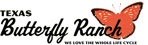 006-018-019-Texas-Butterfly-Ranch-logo-
