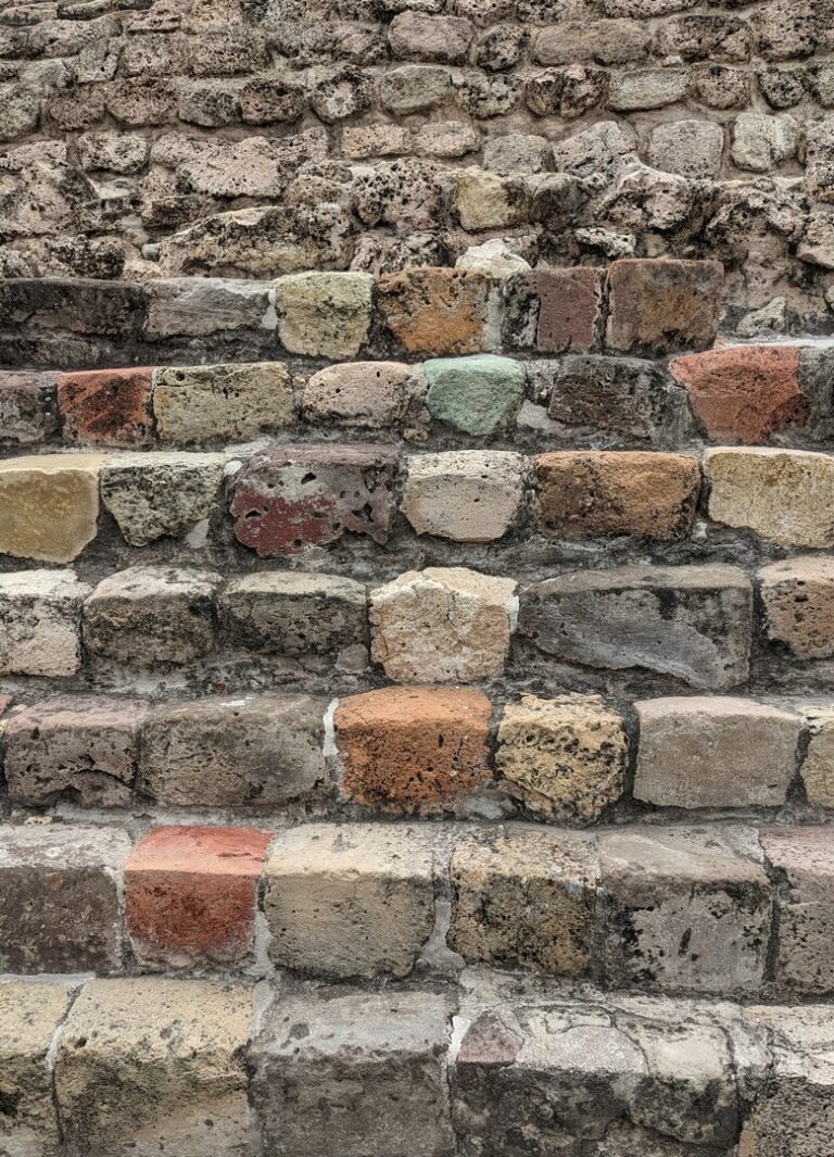 Read more about the article The Big Five